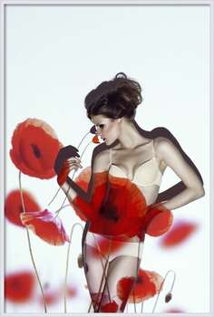 Plakat Red