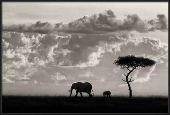 Plakat Silhouettes of Mara